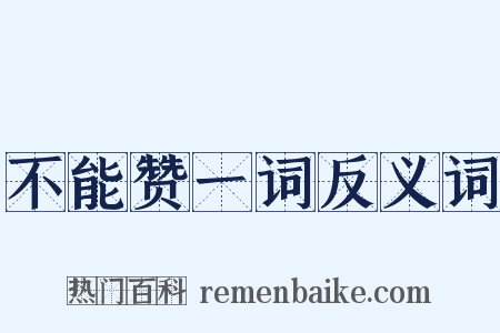 不能赞一词反义词是什么意思的图片